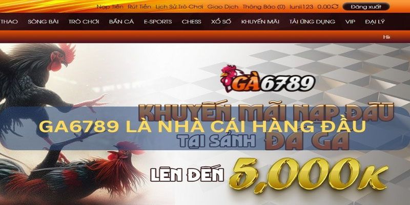 Lợi ích nổi bật thu hút nhiều anh em bet thủ tham gia vào trang cá cược